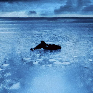 久久久精品欧美一区二区
