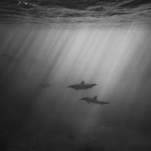 久久久精品欧美一区二区
